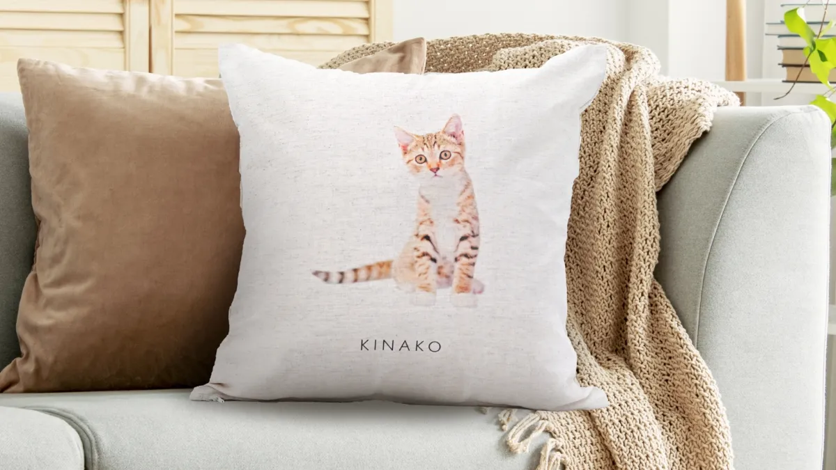 ペットアイテム