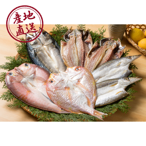 産地直送グルメ│海鮮一汐開きセット