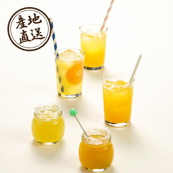 産地直送グルメ│伊藤農園 100％ピュアジュース4種飲み比べ10本