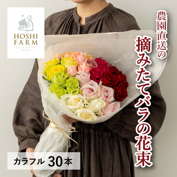 産地直送│ホシファーム フレッシュブーケ カラフル 30本