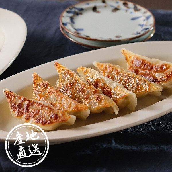 産地直送グルメ│土佐を包む お山の餃子（野菜・生姜）