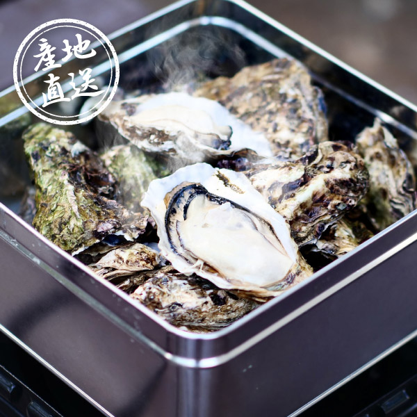 産地直送グルメ│広島牡蠣のカンカン焼き