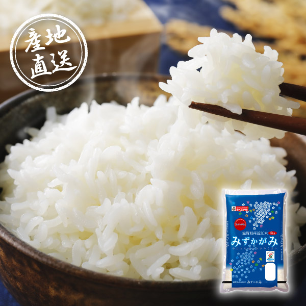 産地直送グルメ│滋賀県産みずかがみ 5kg