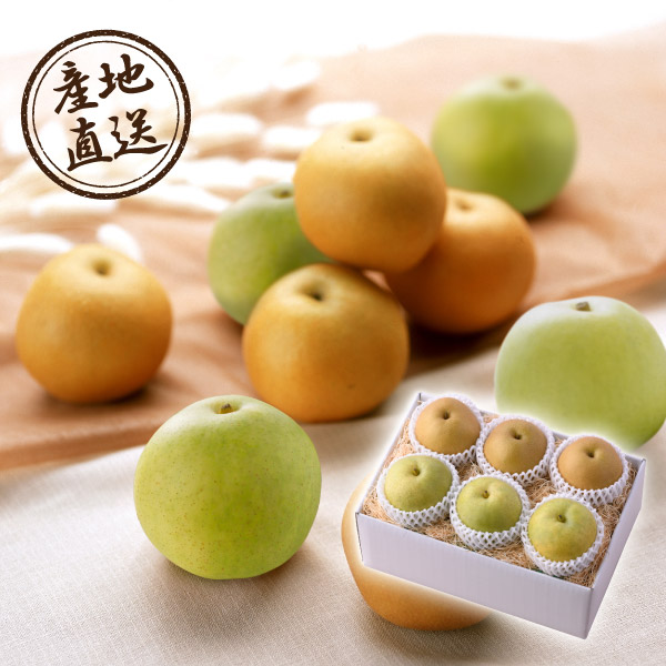 【9月上旬から発送】産地直送グルメ│梨 食べくらべ