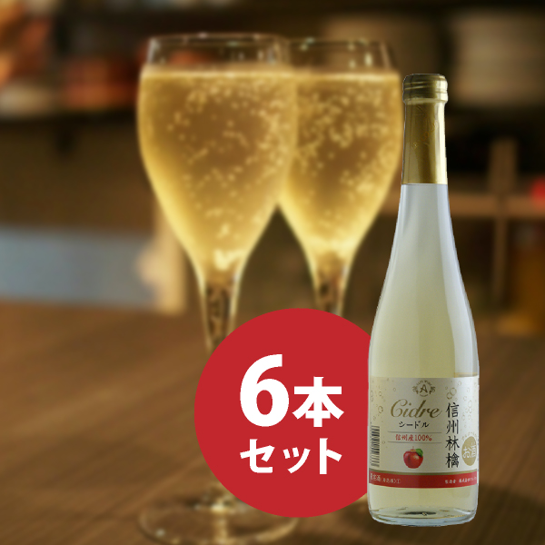 信州りんごシードル 500ml 6本セット