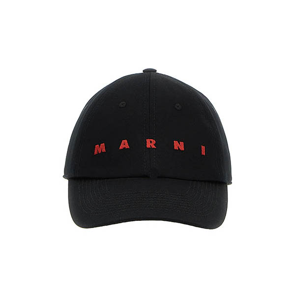 Logo embroidery cap Hats