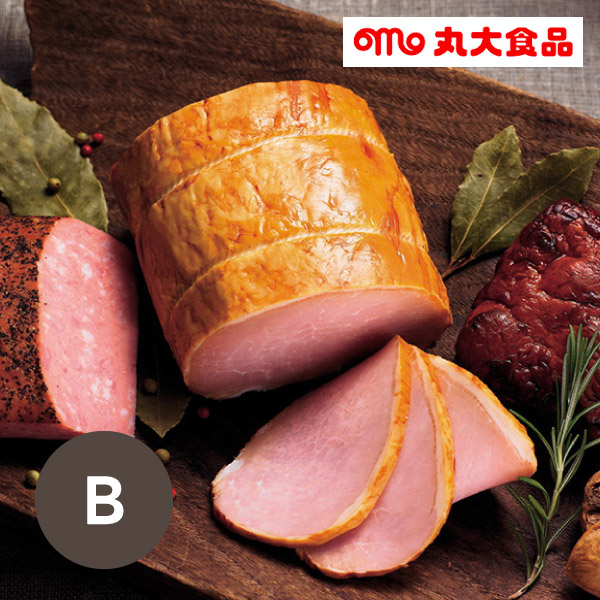 丸大食品 煌彩ハムギフト B