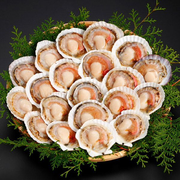 北海道産ほたて片貝（20枚）