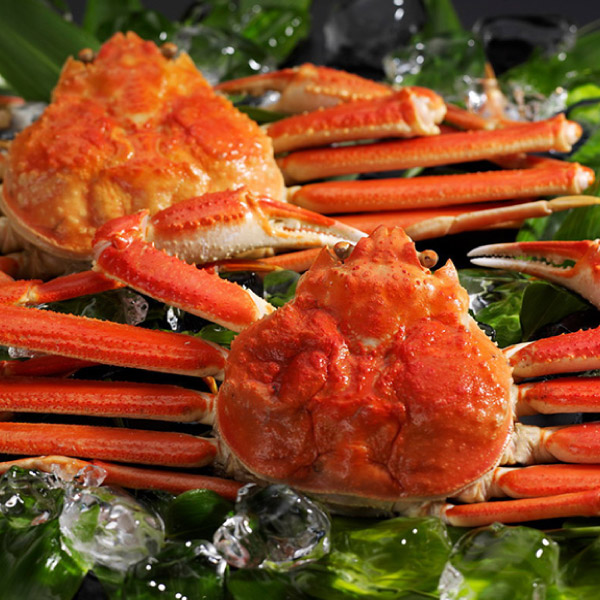 ずわいがに姿（550g×2尾）