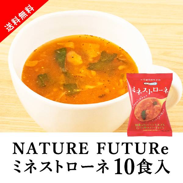 Nature Future ミネストローネ 10食セット